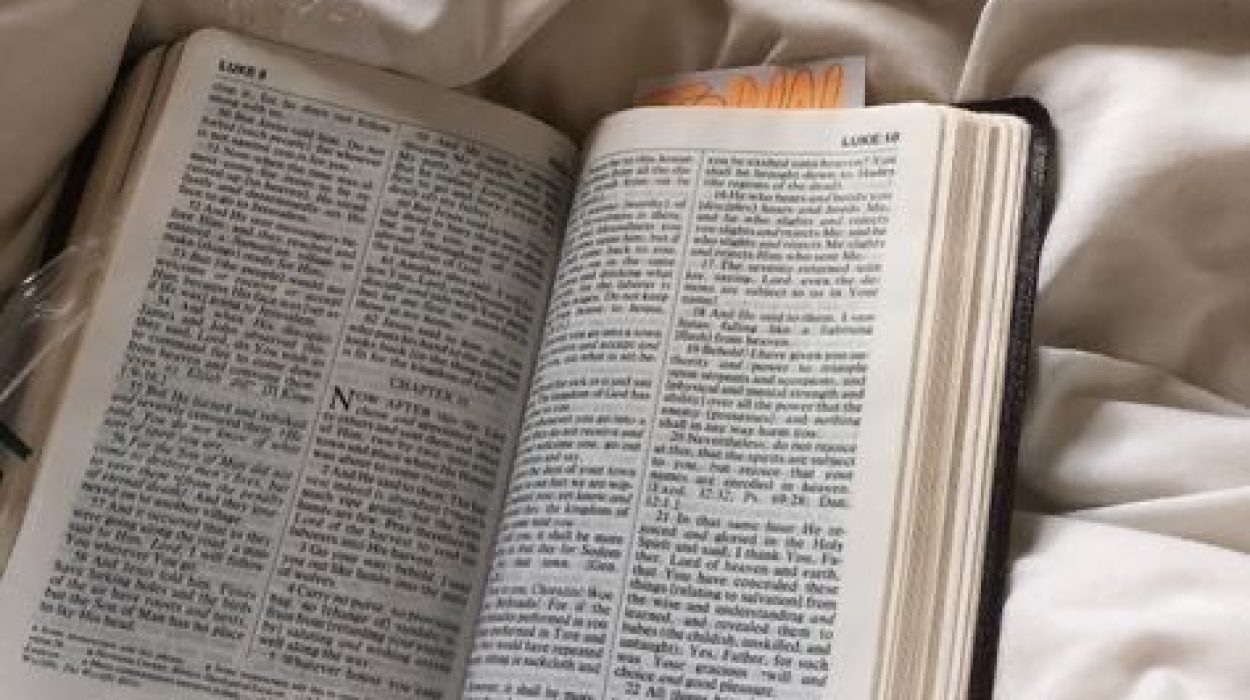 fbe43f9508eea42dbd414ab976d7fa32